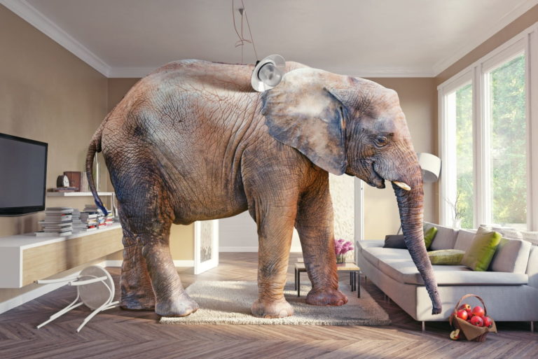 elephant living room accessories